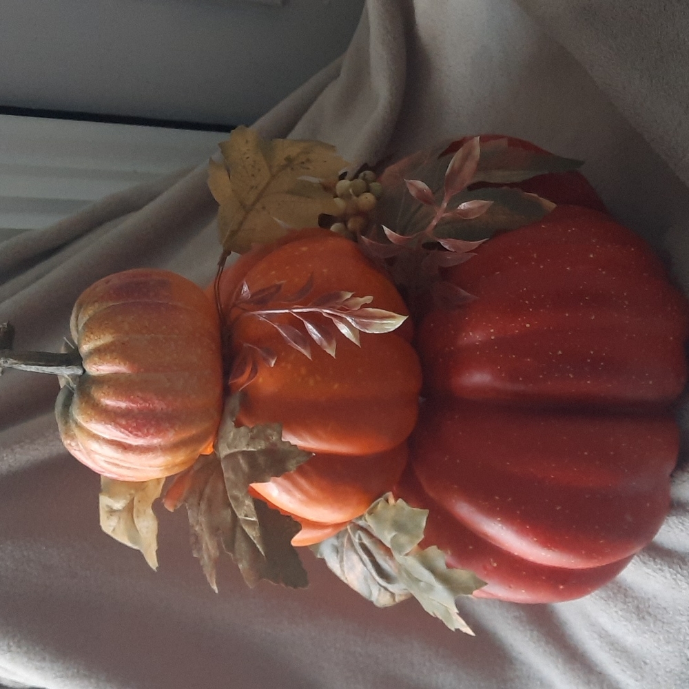 Pumkin